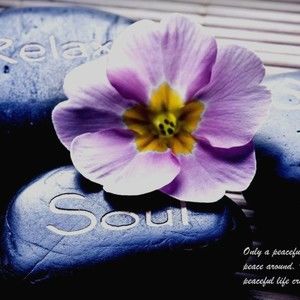 Meet your Posher, Rita